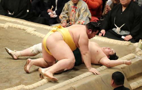 佐田の海(下)を浴びせ倒しで破る遠藤(撮影・鈴木正人)