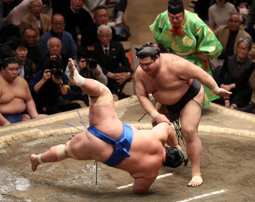 琴奨菊（左）を突き落としで破る高安（撮影・狩俣裕三）