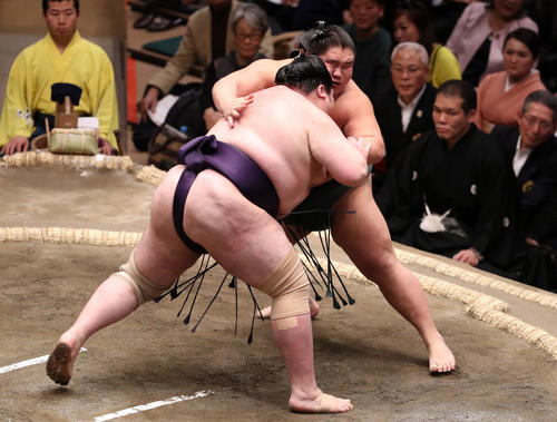 矢後（左）に押し出される大翔丸（撮影・狩俣裕三）