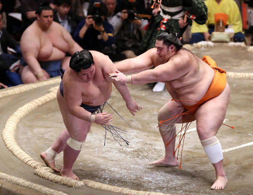 魁聖（右）に突き出しで敗れる阿武咲（撮影・狩俣裕三）