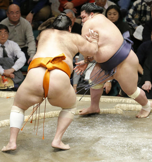 魁聖（左）に突き出しで敗れる阿武咲（撮影・河田真司）