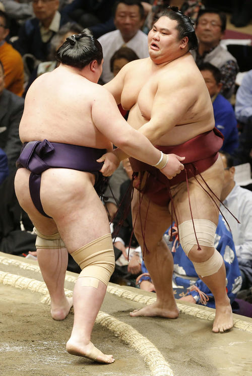 大奄美（右）を寄り切りで破る矢後（撮影・河田真司）
