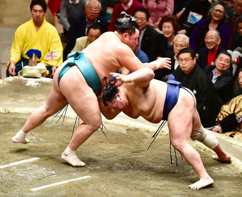 玉鷲(左)ははたき込みで北勝富士を下す(撮影・小沢裕)