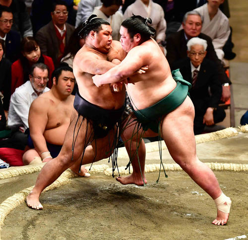 錦木は松鳳山(左)を押し出しで下す(撮影・小沢裕)