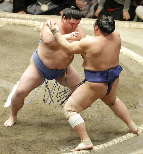 栃煌山(右)を押し出しで破る正代(撮影・河田真司)