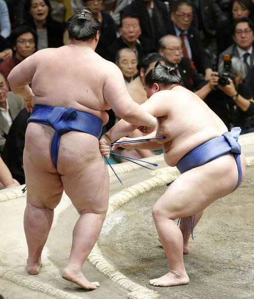逸ノ城（左）を寄り切りで破る正代（撮影・河田真司）