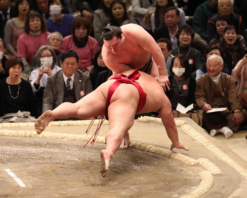 大栄翔（手前）をはたき込みで破る白鵬（撮影・白石智彦）