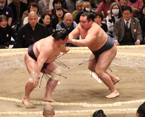 妙義龍（左）を押し出しで破る鶴竜（撮影・白石智彦）