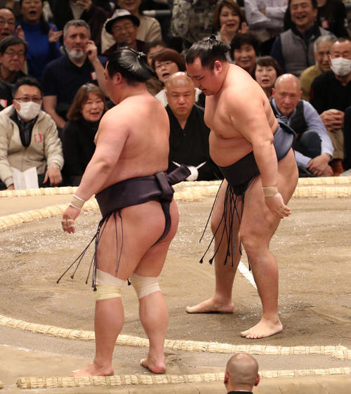 妙義龍（左）を押し出しで破る鶴竜（撮影・白石智彦）
