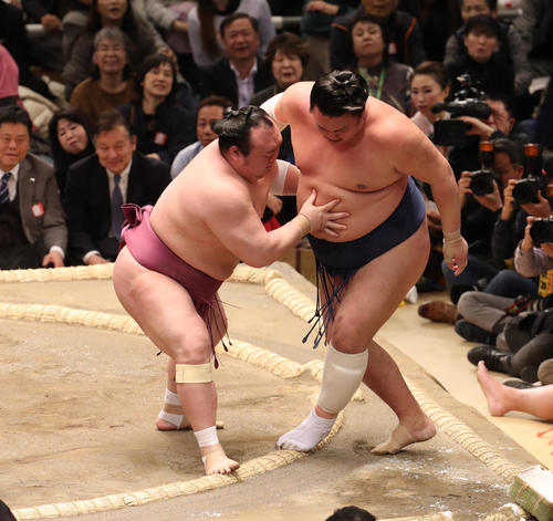 勢（右）を寄り切りで破る宝富士（撮影・白石智彦）