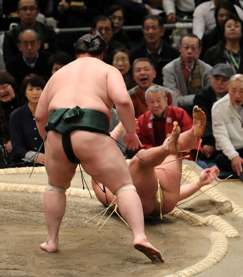 石浦（後方）を押し倒しで破る白鷹山（撮影・鈴木正人）