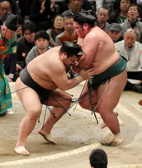 錦木（右）を寄り切りで破る高安（撮影・鈴木正人）