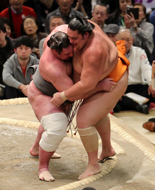 魁聖（右）を寄り切りで破る栃ノ心（撮影・鈴木正人）