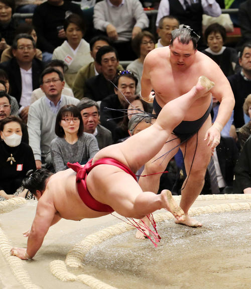 大栄翔（手前）をはたき込みで破る鶴竜（撮影・鈴木正人）