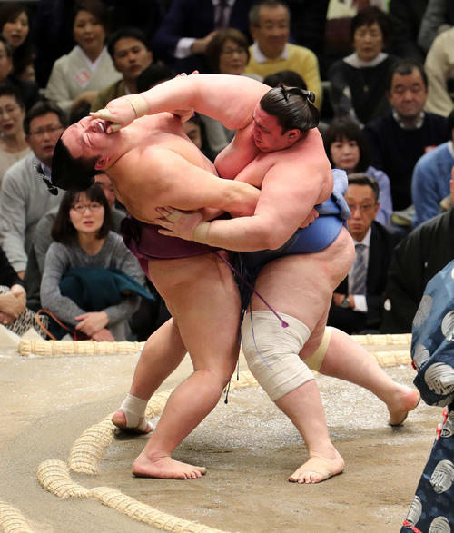 朝乃山（左）を押し倒しで破る碧山（撮影・鈴木正人）