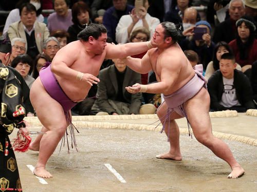 琴恵光(右)を激しく攻める嘉風(撮影・鈴木正人)
