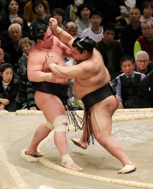 妙義龍(左)を押し出しで破る高安(撮影・鈴木正人)