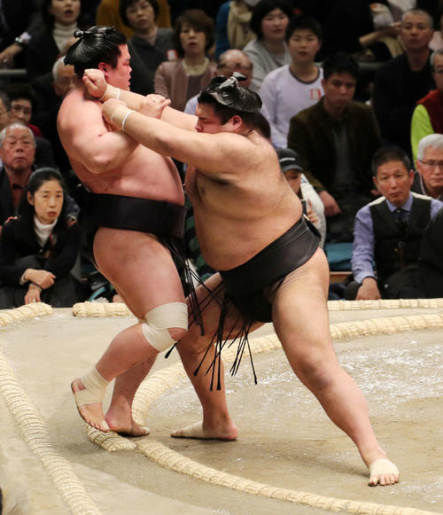 妙義龍(左)を押し出しで破る高安(撮影・鈴木正人)