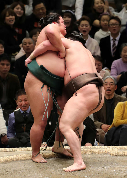 錦木(左)を寄り切りで破る白鵬(撮影・鈴木正人)