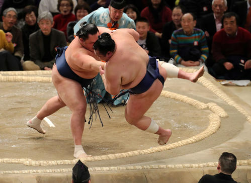 北勝富士(右)を押し出しで破る玉鷲(撮影・鈴木正人)