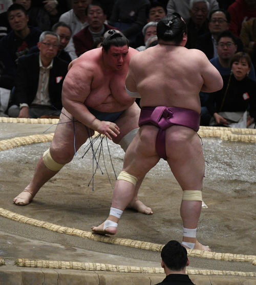 碧山(左)は押し出しで宝富士を破る(撮影・渦原淳)