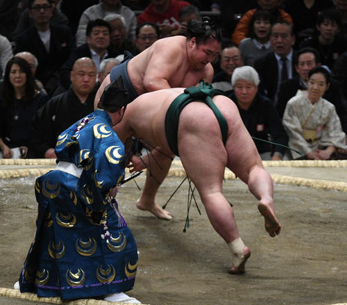 錦木(右)をはたき込みで下す鶴竜(撮影・渦原淳)
