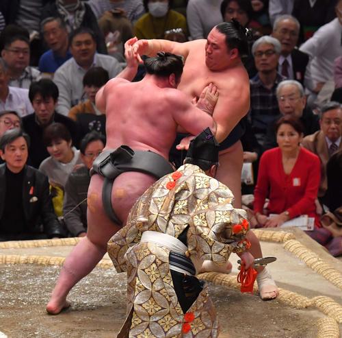 玉鷲（右）に押し出しで勝利する栃ノ心（撮影・上田博志）