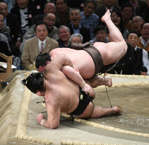 白鵬は浴びせ倒しで高安を破る（撮影・渦原淳）