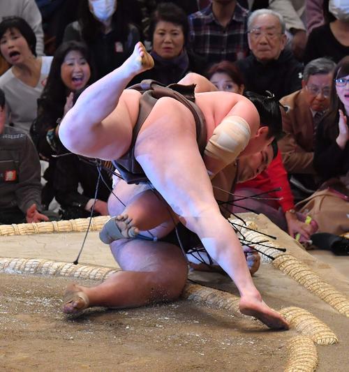 高安に浴びせ倒しで勝利する白鵬（撮影・上田博志）