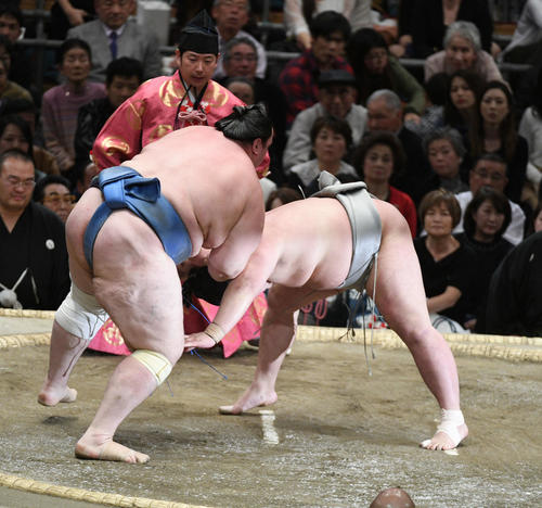 碧山（左）ははたき込みで明生を破る（撮影・渦原淳）