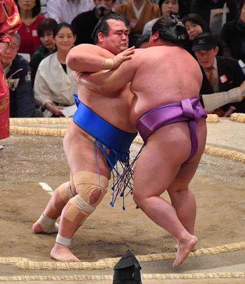 嘉風（右）に押し出しで勝利する琴奨菊（撮影・上田博志）