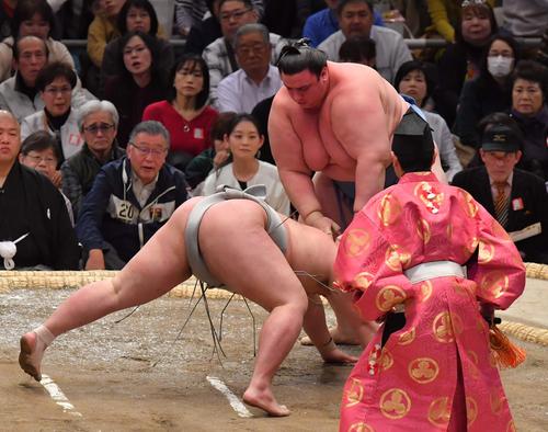 明生にはたき込みで勝利する碧山（撮影・上田博志）