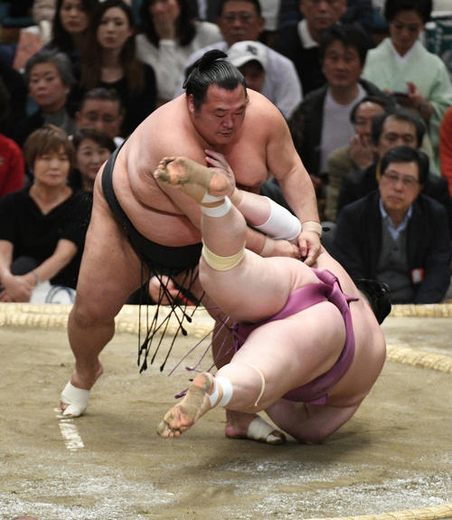 豊ノ島（左）は肩すかしで宝富士を破る（撮影・渦原淳）