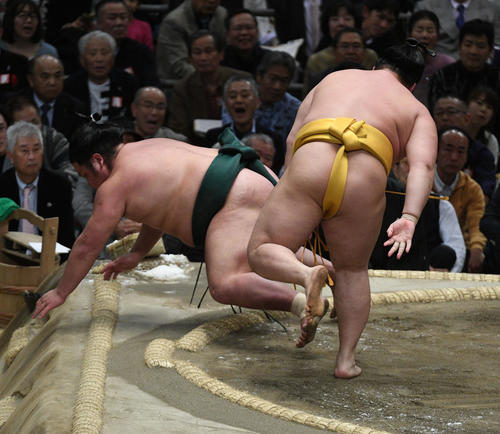 錦木（左）を突き落としで破る遠藤（撮影・渦原淳）