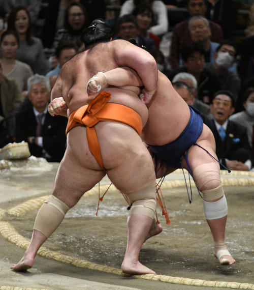 魁聖(左)を寄り切る栃煌山(撮影・渦原淳)