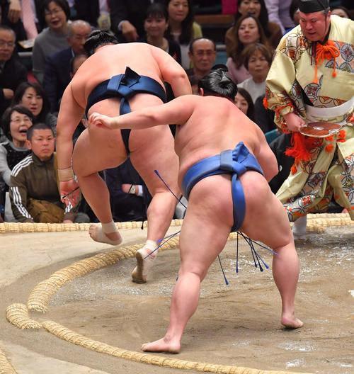 玉鷲に突き落としで勝利する正代(撮影・上田博志)