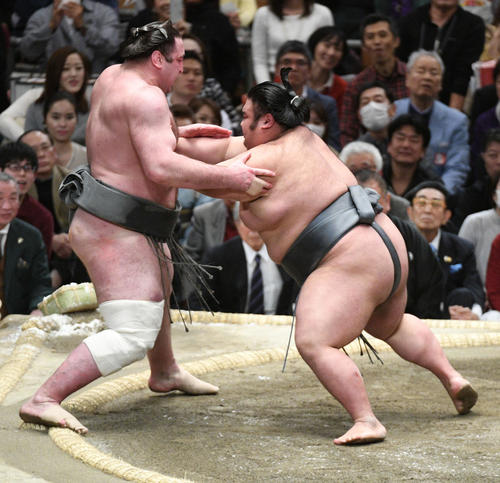 貴景勝に押し出される栃ノ心(左)(撮影・渦原淳)