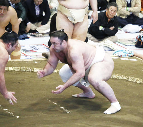 巡業の三番稽古で踏み込む栃ノ心（右）（撮影・佐藤礼征）