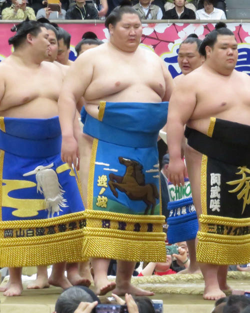 巡業で土俵入りを行った逸ノ城（中央）