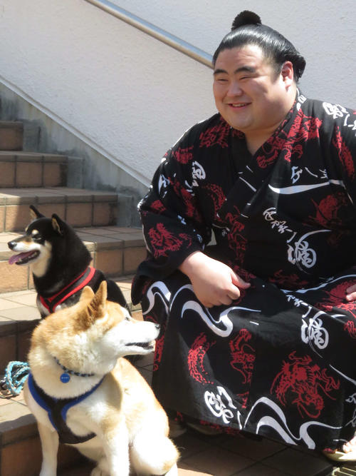 地元の千葉・柏での巡業で犬と記念写真に納まる十両隆の勝