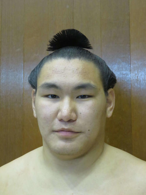 初めて大銀杏（おおいちょう）を結った幕下の豊昇龍