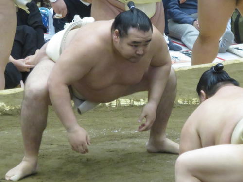 春巡業で初めて稽古土俵で相撲を取った鶴竜（左）と正代