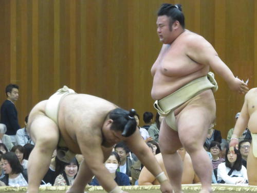 大関同士の申し合い稽古で高安（左）を引き落とす貴景勝
