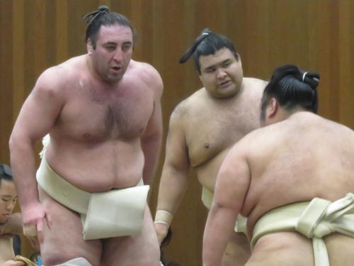 大関同士の申し合い稽古で貴景勝（手前）と向かい合う栃ノ心（左）。中央は高安