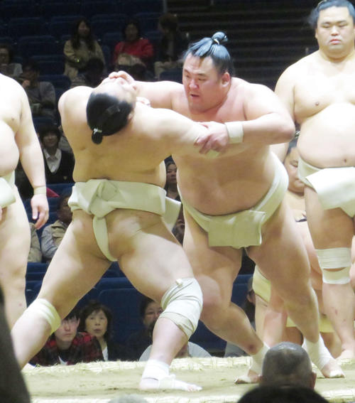 春巡業の申し合い稽古にてのど輪で攻める玉鷲（撮影・佐藤礼征）