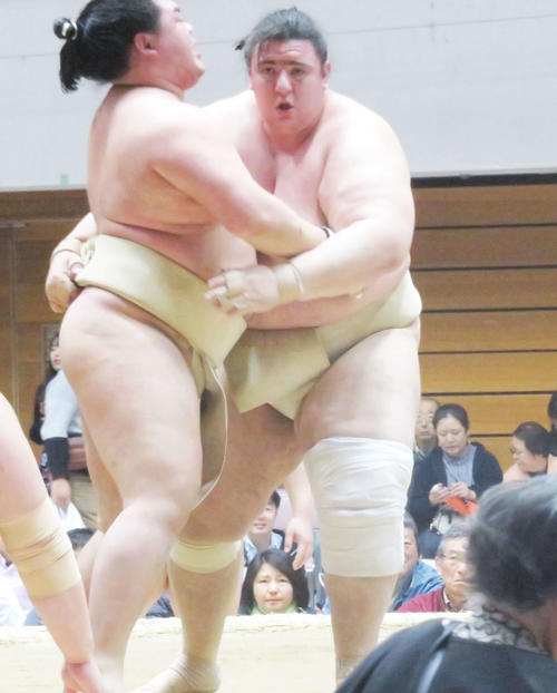 申し合い稽古で明生（左）を寄り切る碧山（撮影・佐藤礼征）