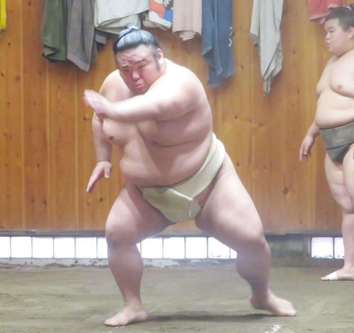 稽古ですり足を行う新大関貴景勝（撮影・佐藤礼征）