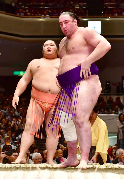 千代大龍（左）を寄り切りで下す栃ノ心（撮影・小沢裕）