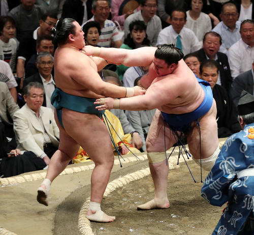 玉鷲（左）を押し出しで破る碧山（撮影・鈴木正人）