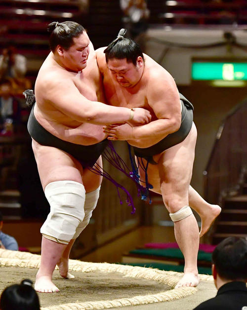 照ノ富士（左）は寄り切りで駒木龍を下す（撮影・小沢裕）